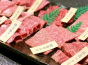 焼肉白龍「ノンダクト無煙焼肉BBQヘルシーロースター」